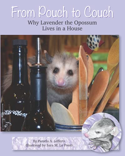 Educational Opossum Book - From Pouch to Couch