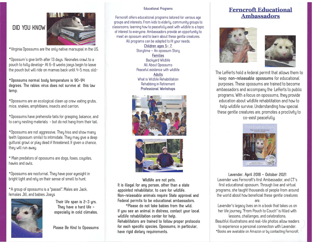 2025 Brochure Inside